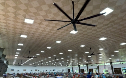Facility Type