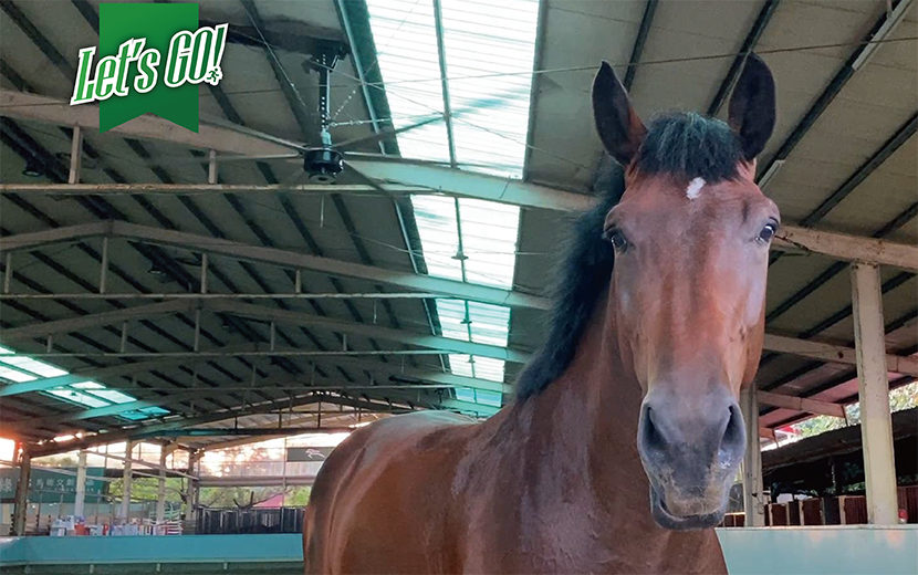 
                                    大家攏吃台灣米！台灣頂級米專賣店，吹起建準轉動的風